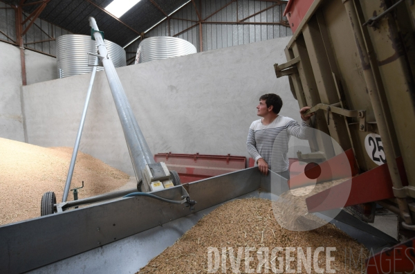 Au jour le jour avec Vincent, jeune agriculteur, eleveur de porcs bio en plein air 7/ Remplissage Silos