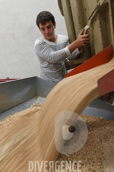 Au jour le jour avec Vincent, jeune agriculteur, eleveur de porcs bio en plein air 7/ Remplissage Silos