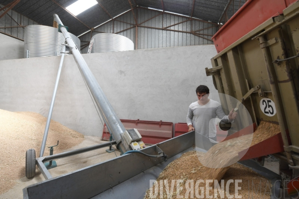 Au jour le jour avec Vincent, jeune agriculteur, eleveur de porcs bio en plein air 7/ Remplissage Silos