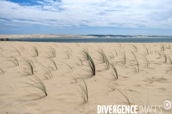 Dune du Pilat la montagne de sable