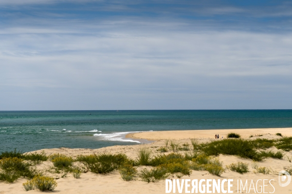 Illustration  Lège-Cap-Ferret