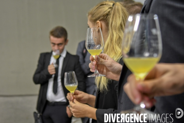 Illustration vendanges dans la vallée du Rhône