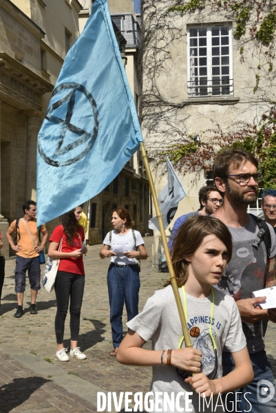 Notre coeur brûle  . Action d Extinction Rebellion France pour alerter sur les incendies en Amazonie et dans le monde.