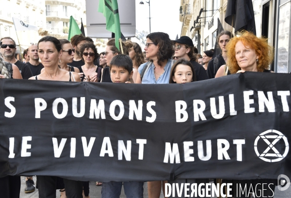 Notre coeur brûle  . Action d Extinction Rebellion France pour alerter sur les incendies en Amazonie et dans le monde.