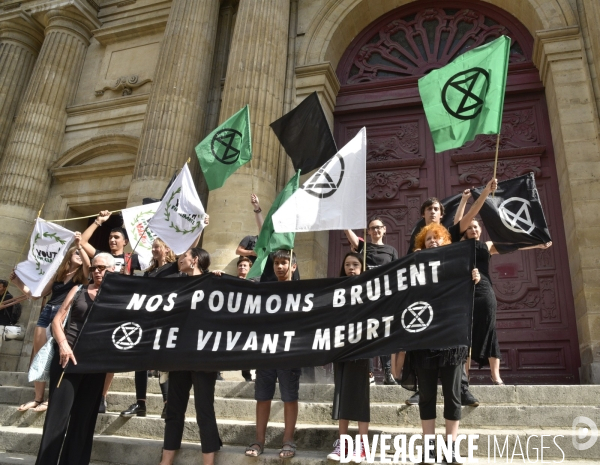 Notre coeur brûle  . Action d Extinction Rebellion France pour alerter sur les incendies en Amazonie et dans le monde.