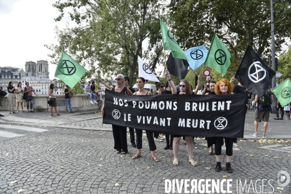 Notre coeur brûle  . Action d Extinction Rebellion France pour alerter sur les incendies en Amazonie et dans le monde.