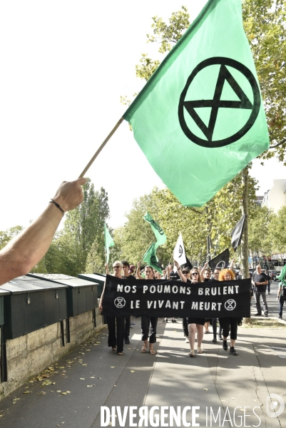 Notre coeur brûle  . Action d Extinction Rebellion France pour alerter sur les incendies en Amazonie et dans le monde.