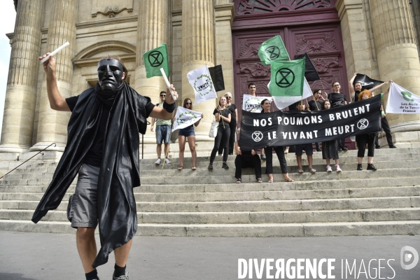 Notre coeur brûle  . Action d Extinction Rebellion France pour alerter sur les incendies en Amazonie et dans le monde.