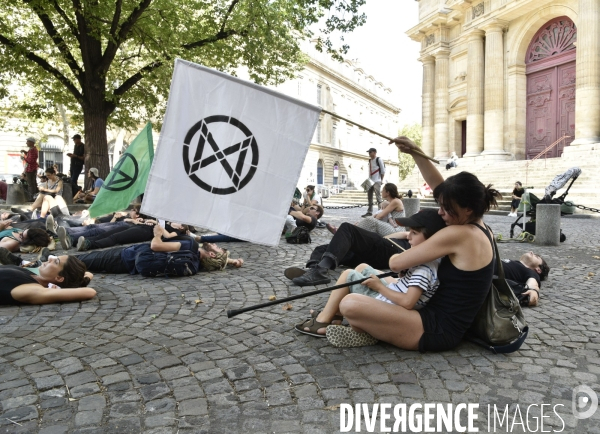 Notre coeur brûle  . Action d Extinction Rebellion France pour alerter sur les incendies en Amazonie et dans le monde.