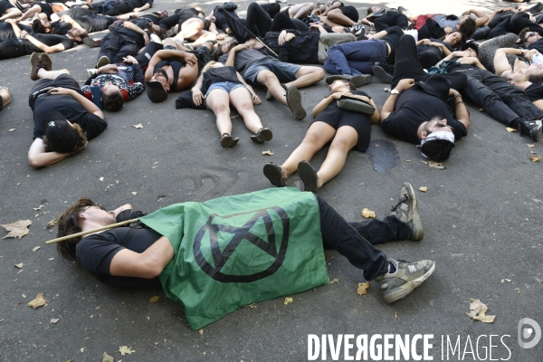 Notre coeur brûle  . Action d Extinction Rebellion France pour alerter sur les incendies en Amazonie et dans le monde.