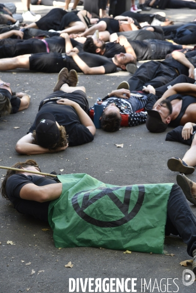 Notre coeur brûle  . Action d Extinction Rebellion France pour alerter sur les incendies en Amazonie et dans le monde.