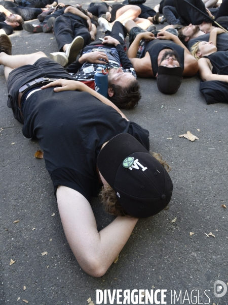 Notre coeur brûle  . Action d Extinction Rebellion France pour alerter sur les incendies en Amazonie et dans le monde.