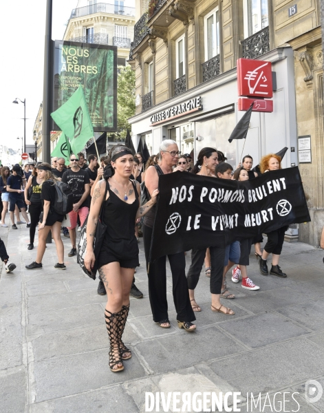 Notre coeur brûle  . Action d Extinction Rebellion France pour alerter sur les incendies en Amazonie et dans le monde.