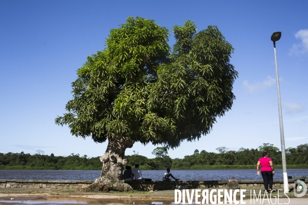 Une jeunesse guyanaise