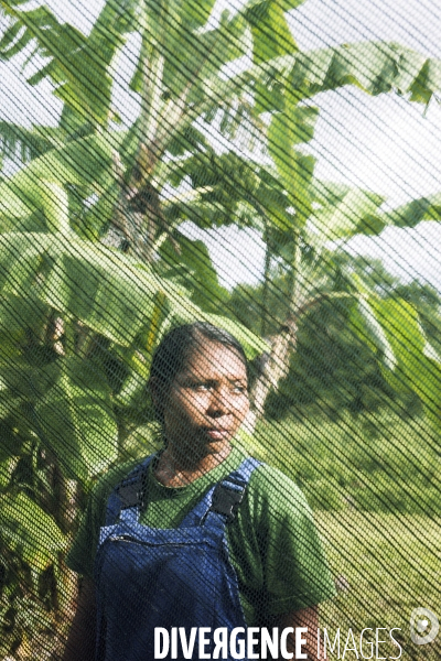 Une jeunesse guyanaise