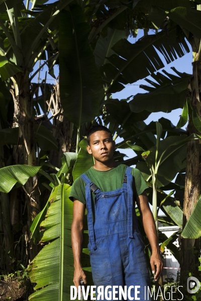 Une jeunesse guyanaise