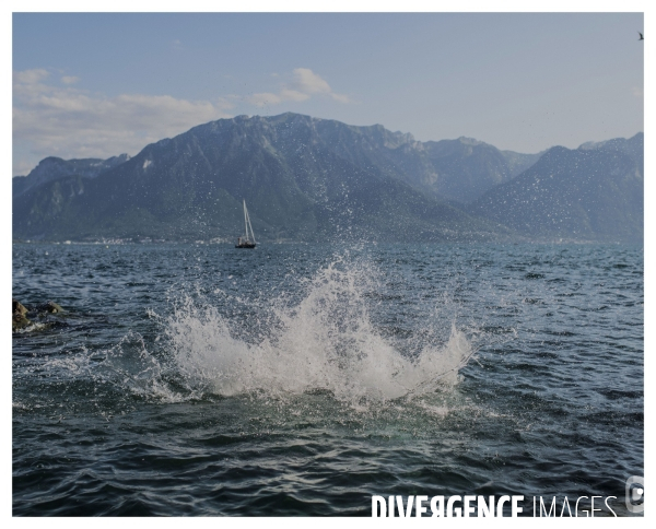 Riviera Vaudoise # 14