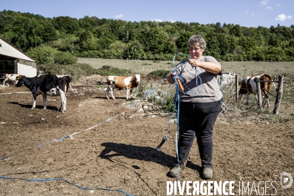 Marie-Claude, Chronique paysanne #3 - Gym en Campagne