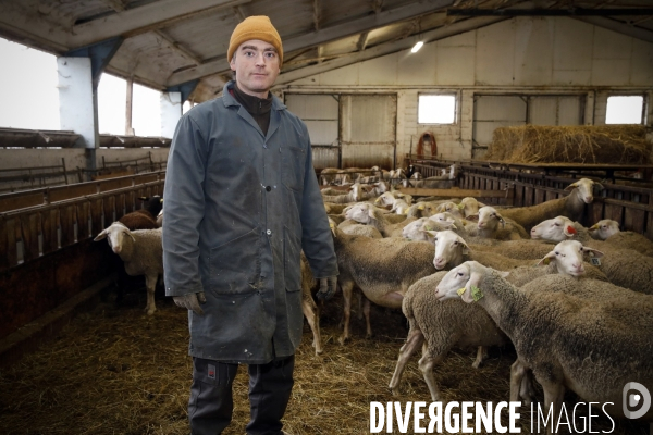 Alexandre VIALETTES, producteur de lait de brebis