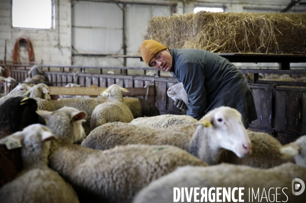 Alexandre VIALETTES, producteur de lait de brebis