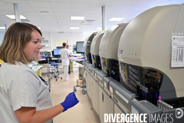Laboratoire d hématologie cellulaire