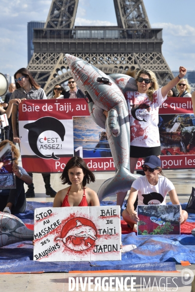 Japan Dolphins Day 2019 Paris. C est Assez