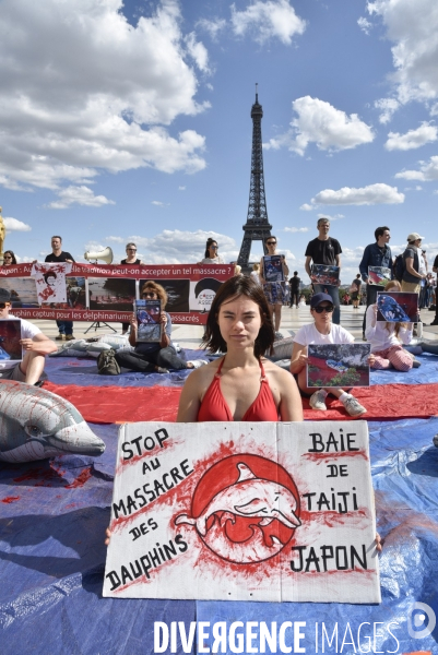 Japan Dolphins Day 2019 Paris. C est Assez