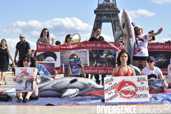 Japan Dolphins Day 2019 Paris. C est Assez