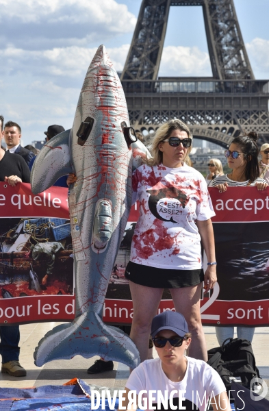 Japan Dolphins Day 2019 Paris. C est Assez