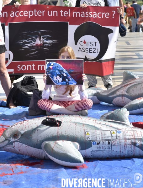 Japan Dolphins Day 2019 Paris. C est Assez