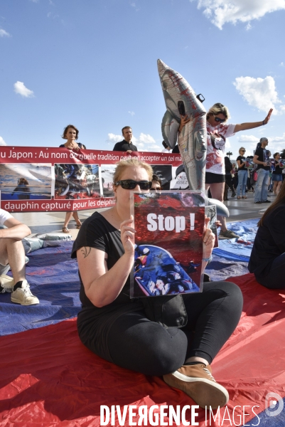 Japan Dolphins Day 2019 Paris. C est Assez