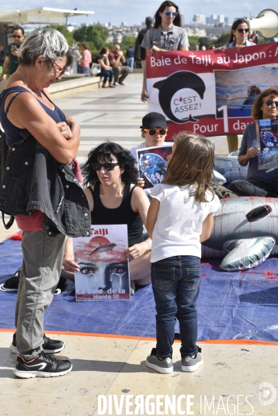 Japan Dolphins Day 2019 Paris. C est Assez