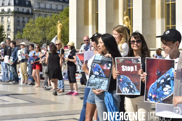 Japan Dolphins Day 2019 Paris. C est Assez