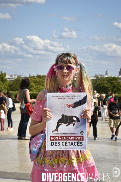 Japan Dolphins Day 2019 Paris. C est Assez