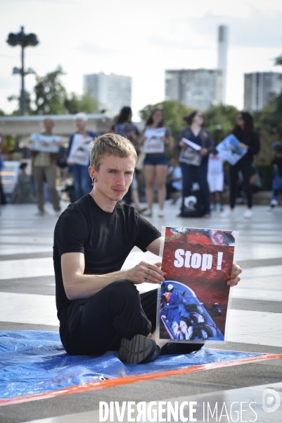 Japan Dolphins Day 2019 Paris. C est Assez