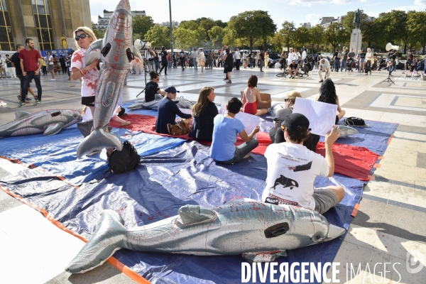 Japan Dolphins Day 2019 Paris. C est Assez