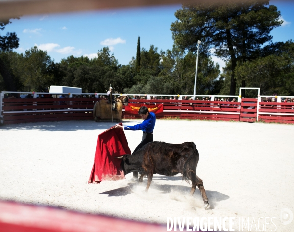 Corrida - Printemps des jeunes aficionados