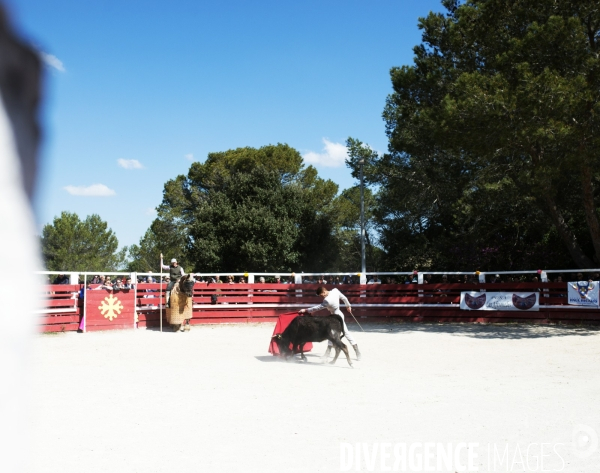 Corrida - Printemps des jeunes aficionados