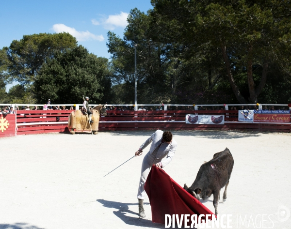 Corrida - Printemps des jeunes aficionados