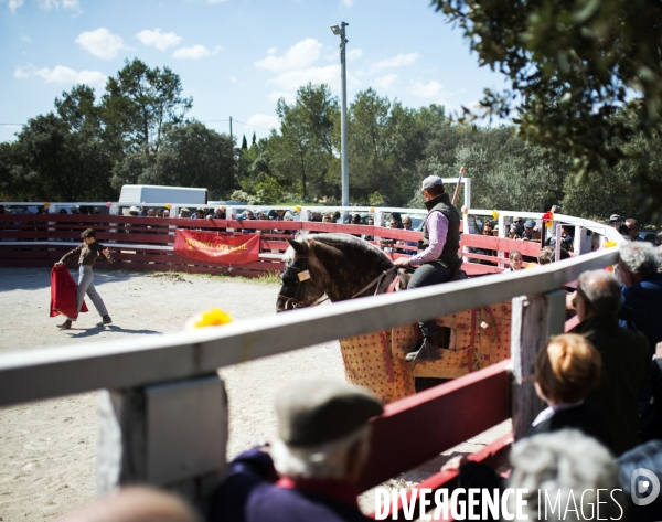 Corrida - Printemps des jeunes aficionados