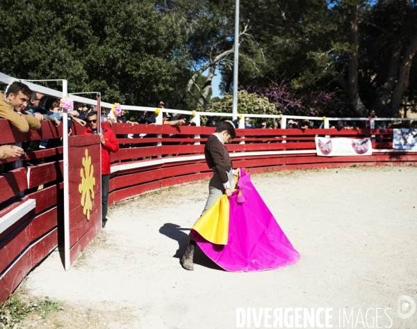 Corrida - Printemps des jeunes aficionados