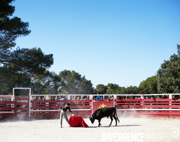 Corrida - Printemps des jeunes aficionados