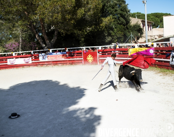 Corrida - Printemps des jeunes aficionados