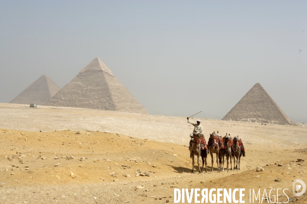Plateau de giza
