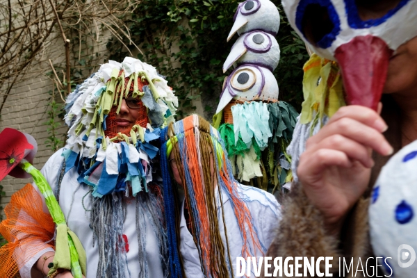 Le Carnaval Touf Ensemble contre les pesticides et les désherbants en ville # Acte 02