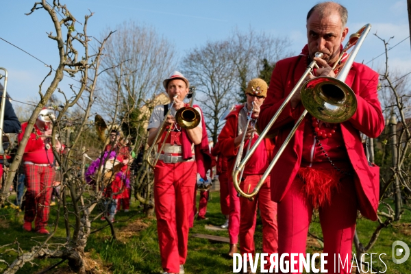 Le Carnaval Touf Ensemble contre les pesticides et les désherbants en ville # Acte 02