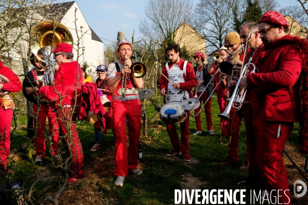 Le Carnaval Touf Ensemble contre les pesticides et les désherbants en ville # Acte 02