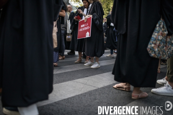 Manifestation des professions libérales contre le régime de retraites universel