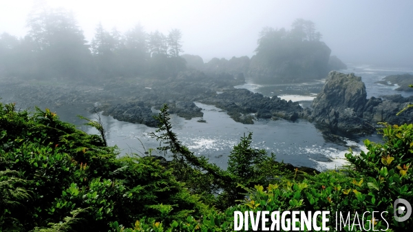 Le parc national du Pacific Rim sur l  île de Vancouver