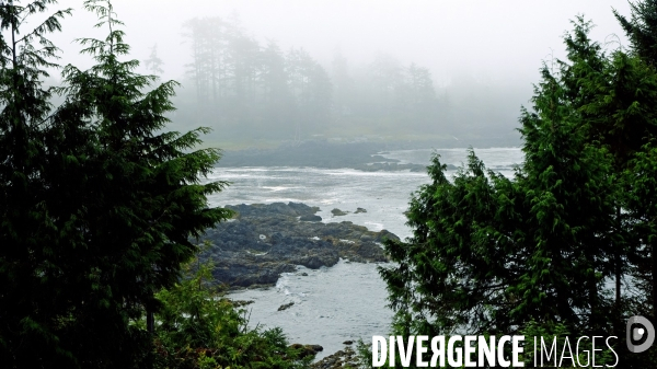 Le parc national du Pacific Rim sur l  île de Vancouver